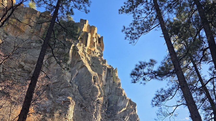 Volcanic cliff and ponderosa pines